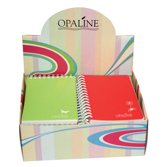 OPALINE Display of 16 Notebooks Asstd Lines & Quad