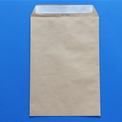 EXTEND Envelope 90g 250 x 353mm Kraft