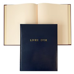 Gold Book Regular Cov- Gilded- 100sh- Blue