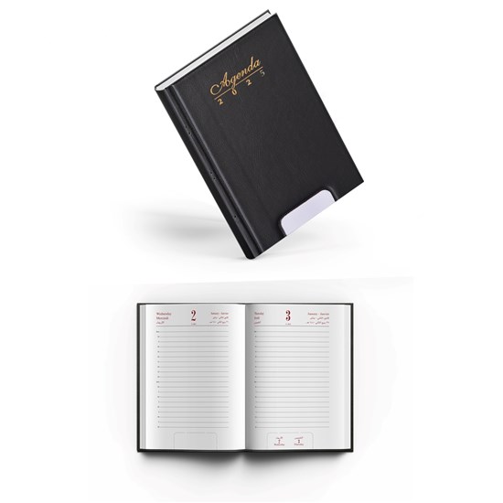 2025 Daily Diary PVC Cov Perfprated Gilded B6