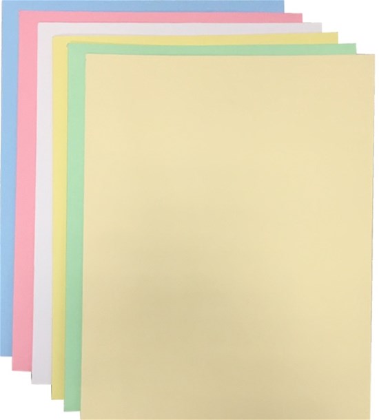 Wallet File A4 Bristol 250g. Assorted