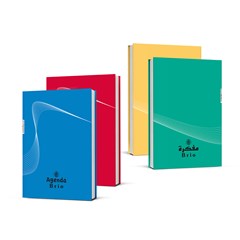 BRIO Agenda carton cov Perf Bind 60g192p 11X15.5cm