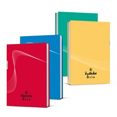 BRIO Agenda carton cov Perf Bind 60g192p 14X20.5cm