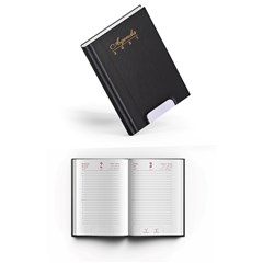 2025 Daily Diary PVC Cov Perfprated Gilded B6