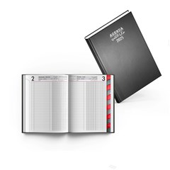 2025 Daily Diary PVC Cov 2col L/O Monthly Tabs B5,