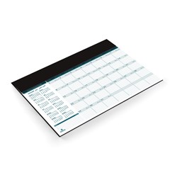 2025 Monthly Planner 80g 12sh+Desk Pad PVC 50x35