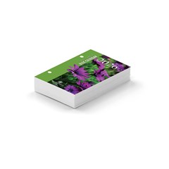2026  Desk Block Calendar 2 holes 8.5x12 cm
