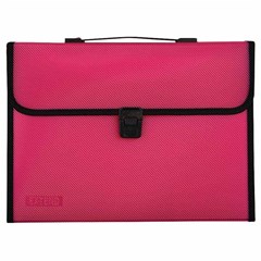 EXTEND Expanding file 13 pockets-A4-Diagonal Pink